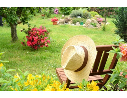 Ленивый сад: секреты его организации