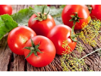 Найкращі сорти томатів для вирощування на городі