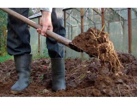 Навоз — плюсы, минусы и разновидность