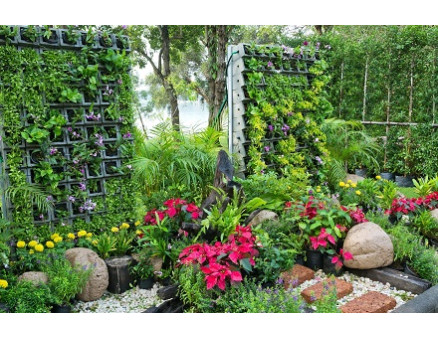 Проблема и решение: Как сделать сад менее заметным для соседей? Проблема и решение: Как сделать сад менее заметным для соседей?