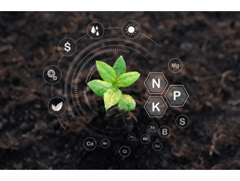 NPK-маркування. Що воно означає?