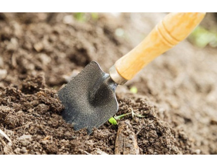 Обработка и обеззараживание грунта перед высадкой рассады Обработка и обеззараживание грунта перед высадкой рассады