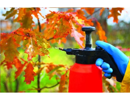 Обработка сада от вредителей Обработка сада от вредителей