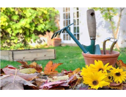 Что нужно успеть сделать осенью на огороде до наступления первых морозов? Что нужно успеть сделать осенью на огороде до наступления первых морозов?