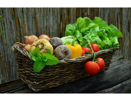 Топ 10 овощей, которые легко вырастить на любом огороде Топ 10 овощей, которые легко вырастить на любом огороде