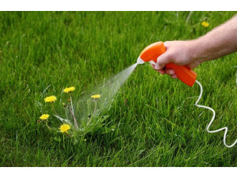 Користь гербіцидів та основні види, застосування