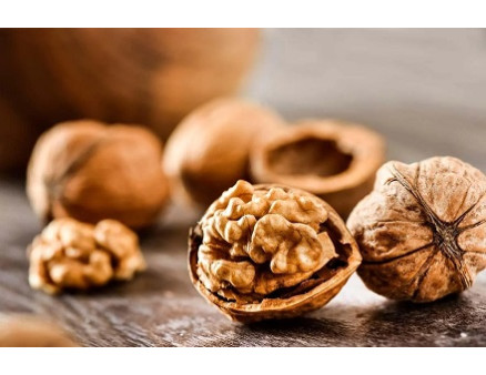 Посадка грецкого ореха