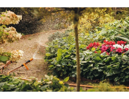 Как бороться с засухой в саду? Ксероскейпинг Как бороться с засухой в саду? Ксероскейпинг