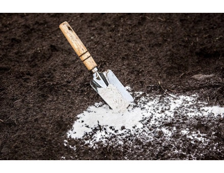 Как правильно проводить раскисление грунта? Как правильно проводить раскисление грунта?