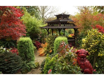 Сад в японском стиле. Как организовать? Сад в японском стиле. Как организовать?