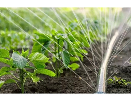 Секреты успешного полива: как создать эффективную систему для своего сада? Секреты успешного полива: как создать эффективную систему для своего сада?