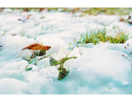 Что делать с огородом, когда выпал снег