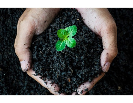 Что такое биогумус и как правильно его выбирать 