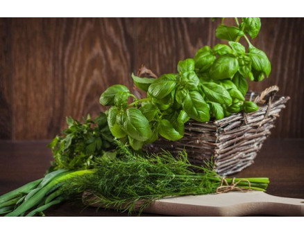 Быстрорастущая зелень: какую выбрать? Быстрорастущая зелень: какую выбрать?