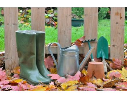 7 обязательных ноябрьских дел для сада 7 обязательных ноябрьских дел для сада