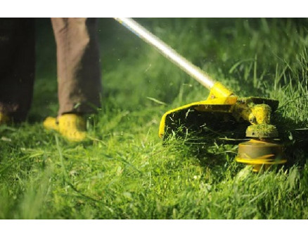 Советы по использованию сорной и скошенной травы для садоводов