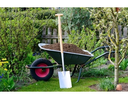 Топ-5 распространенных ошибок, которые совершают в саду весной