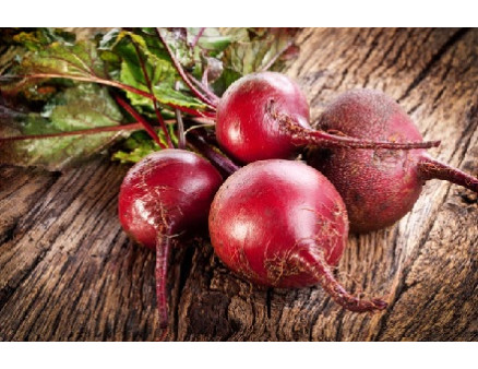 Как сохранить урожай свеклы без потерь Как сохранить урожай свеклы без потерь