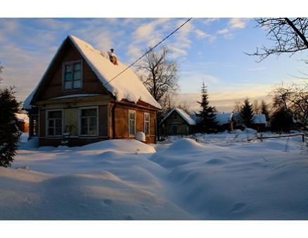 Перше відвідування дачі після холодів