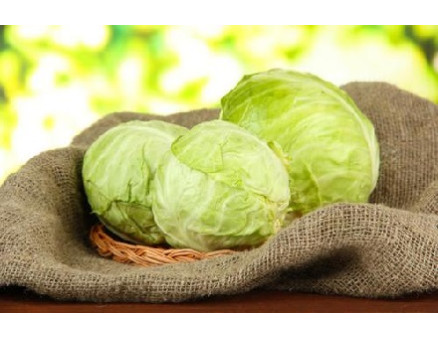 Як зберегти капусту у свіжому вигляді до весни?