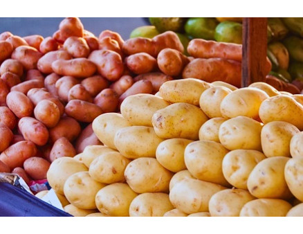 Выбираем сорт картофеля для посадки весной