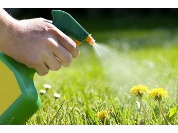 Выбираем гербициды в интернет магазине правильно - лучшие «рабочие» советы