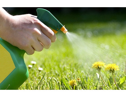 Вибираємо гербіциди в інтернет магазині правильно - найкращі «робочі» поради