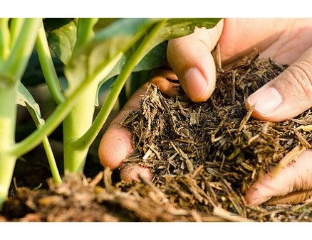 Виды удобрений для почвы