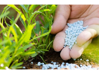 Какое удобрение Osmocote использовать для осенней подкормки растений?