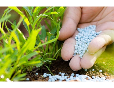 Какое удобрение Osmocote использовать для осенней подкормки растений?