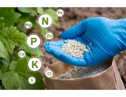 Какие удобрения рекомендуется вносить в осенний период?