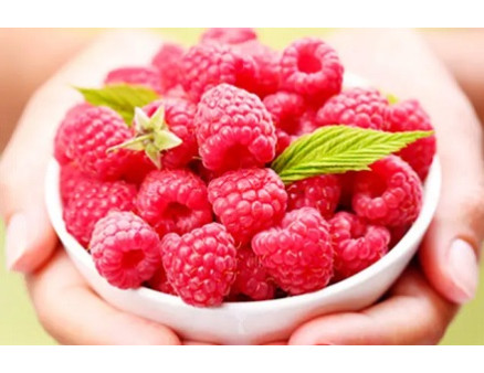 Які сорти малини посадити восени 2025 року? Топ-9 найкращих варіантів