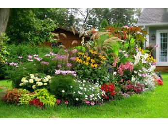 Как организовать цветник непрерывного цветения?