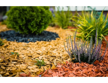 Как правильно замульчировать клумбу? Как правильно замульчировать клумбу?