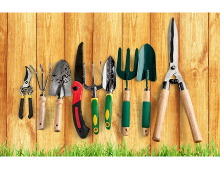 Как правильно выбирать садовый инвентарь? Как правильно выбирать садовый инвентарь?
