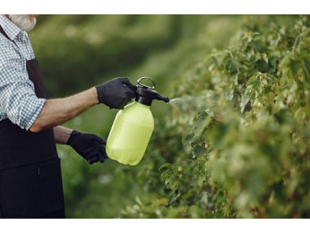 Как использовать железный купорос осенью?