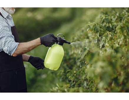 Как использовать железный купорос осенью?