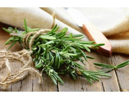 Как вырастить розмарин из веточки?