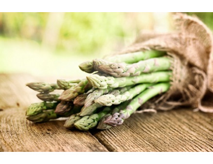 Как вырастить спаржу у себя на участке?