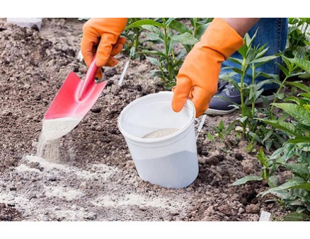 Як застосовувати доломітове борошно навесні?