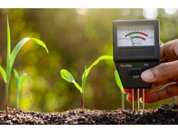 Как изменить уровень кислотности почвы в огороде