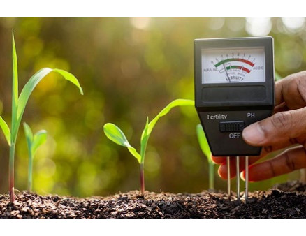 Как изменить уровень кислотности почвы в огороде