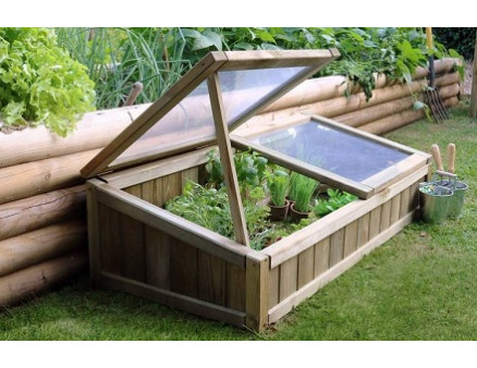 Как сделать мини-теплицу для рассады своими руками? Как сделать мини-теплицу для рассады своими руками?