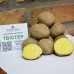 Семенной картофель Твистер, 60-70 дней, 2 репродукция