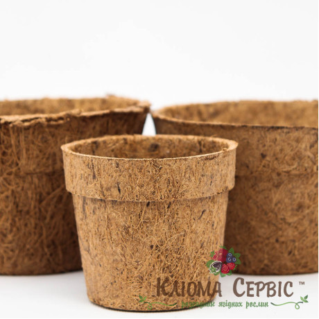 Кокосовий горщик, d-15см/11см/h-11см