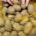 Семенной картофель Вега, 50-60 дней, 2 репродукция