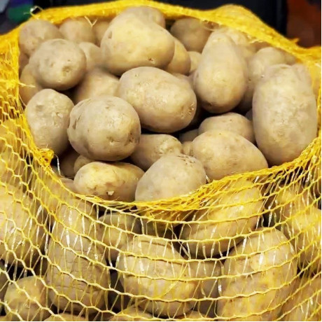 Семенной картофель Вега, 50-60 дней, 2 репродукция Семенной картофель Вега, 50-60 дней, 2 репродукция