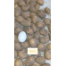 Семенной картофель Вега, 50-60 дней, 2 репродукция