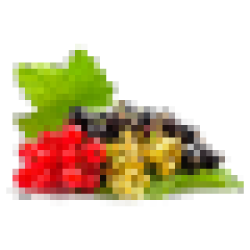 Саженцы смородины купить оптом в Украине