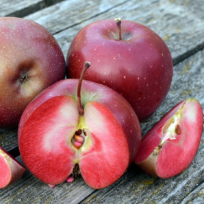 Яблуня зимова сорт Байя Маріса, підщепа 54-118 Яблуня зимова сорт Байя Маріса, підщепа 54-118
